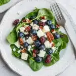 Blueberry Pecan Spinach Salad with Honey Balsamic Dressing Recipe