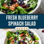Blueberry Pecan Spinach Salad with Honey Balsamic Dressing Recipe