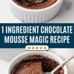 Decadent One-Ingredient Chocolate Mousse Recipe