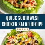 Zesty Southwest Chicken Salad Recipe