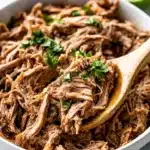 Instant Pot Mojo Pork Recipe