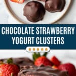 Chocolate Strawberry Yogurt Clusters Recipe