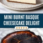 Mini Burnt Basque Cheesecake Recipe