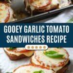 Marv 'n' Joe Sandwiches Recipe