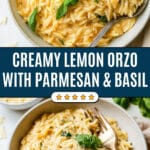 Creamy Lemon Orzo Recipe
