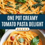 Easy One Pot Creamy Tomato Pasta Recipe