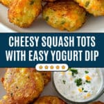 Yellow Squash Tots Recipe