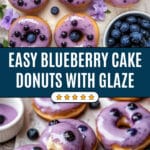 Blueberry Cake Donuts Recipe