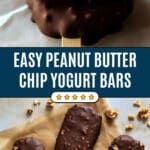 Peanut Butter Chip Frozen Yogurt Bars Recipe