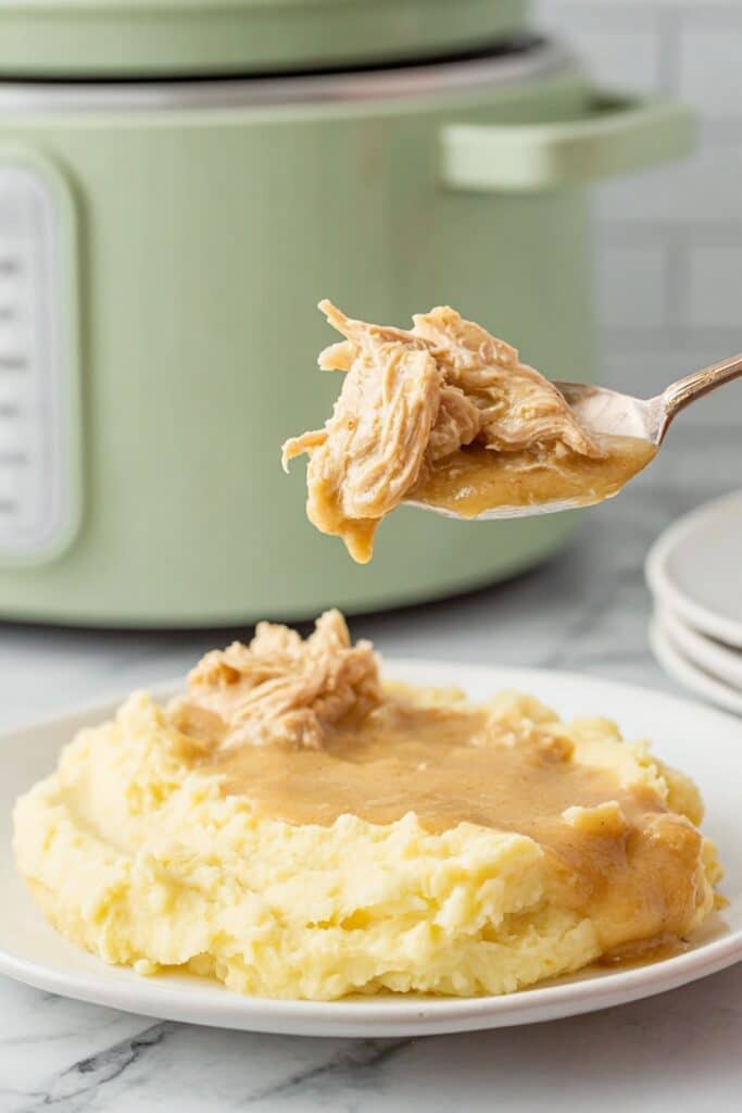 Easy Slow Cooker Turkey and Gravy Recipe